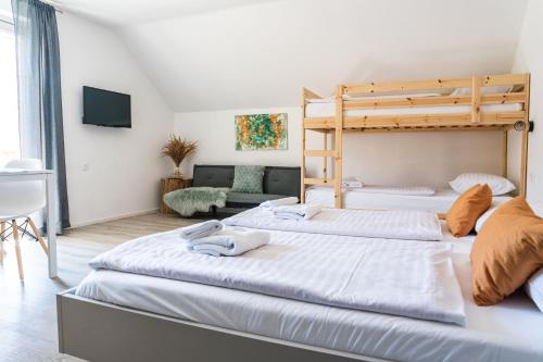 Apartmaji Triglav