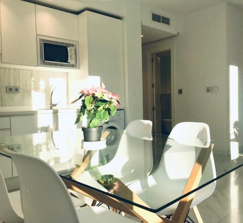 Domus Apartamentos Granada