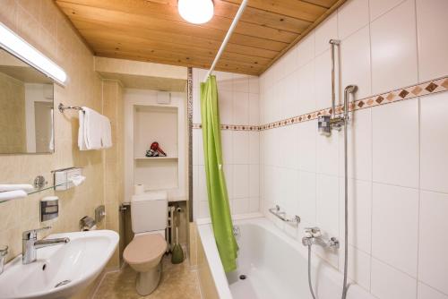 Hotel Brienzerburli
