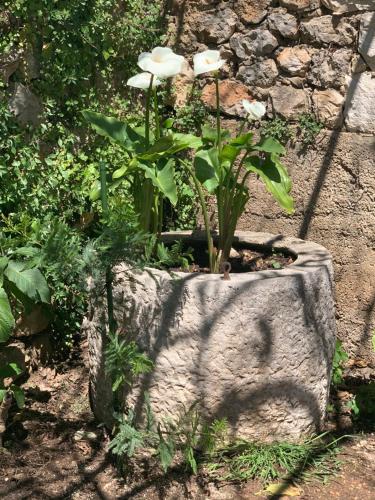 Guesthouse Libertas