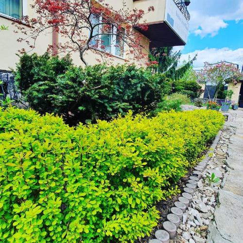 Bussines Travel House Pokoje Goscinne