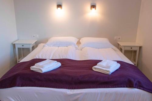 Puffin Hotel Vík