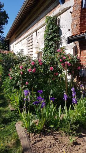 Petit Tambour d’Autingues