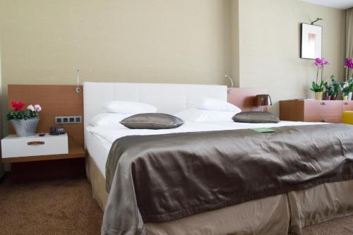 Hotel Mikado