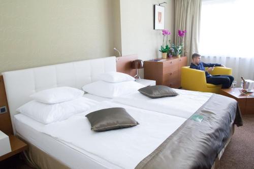 Hotel Mikado