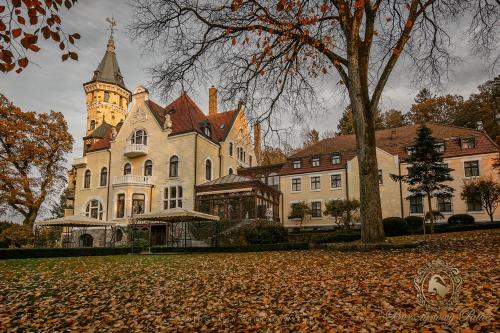 Hotel Bursztynowy Palac (Amber Palace, Bernsteinpalast)