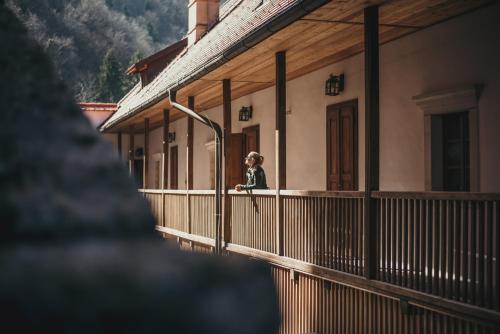 Rooms & Apartments Podsreda Castle