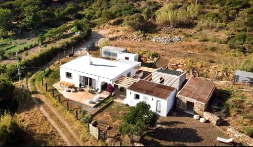 Wild House Tarifa - Hostel