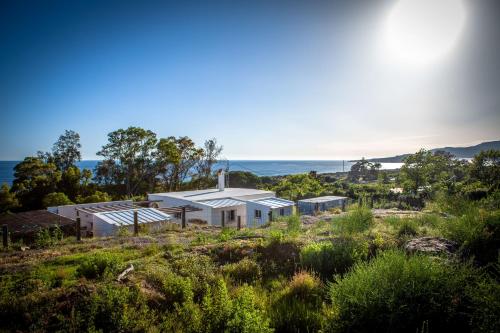 Wild House Tarifa - Hostel