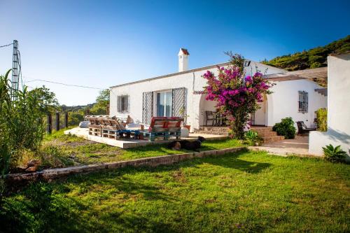 Wild House Tarifa - Hostel