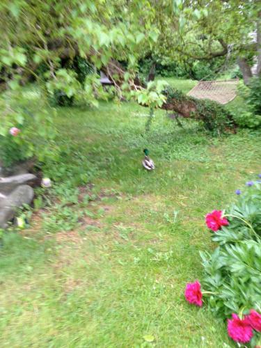 Mullbärsgårdens B & B