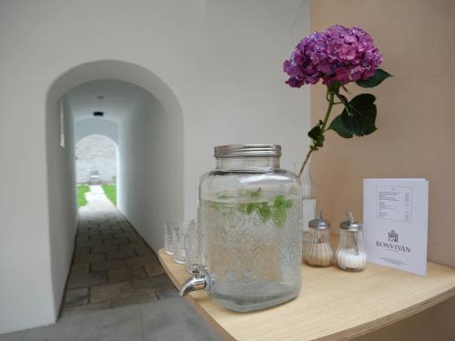 Bonviván Apartments