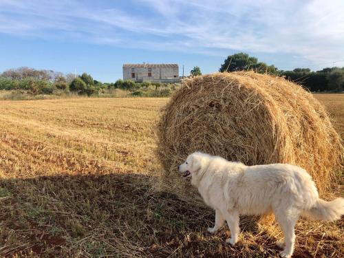 Agriturismo La Palascia