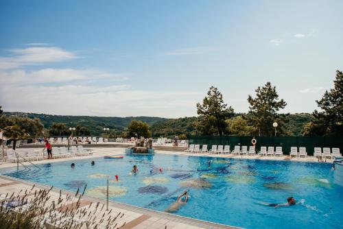 Belvedere Hotels