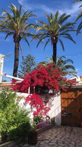 Lo Segador Casa Rural