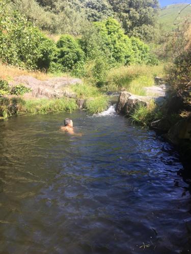 Casas Rurales Prunus Avium