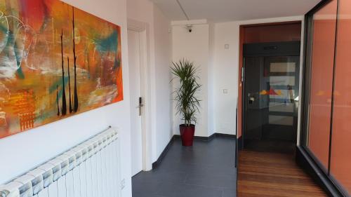 Apartamentos Entre Volcans