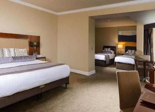 The Brehon