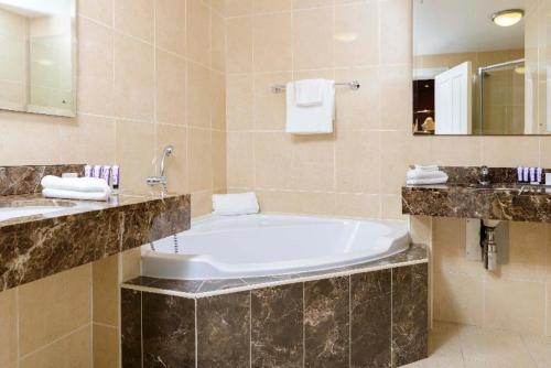 The Brehon