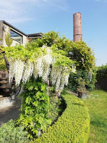 De Vlaschaerd Bed & Breakfast