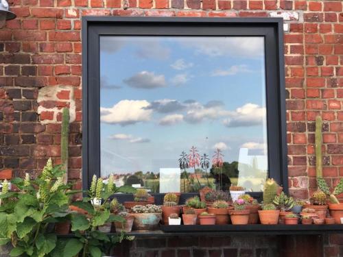 De Vlaschaerd Bed & Breakfast