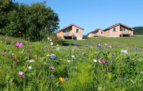 Les Chalets De Trémontagne