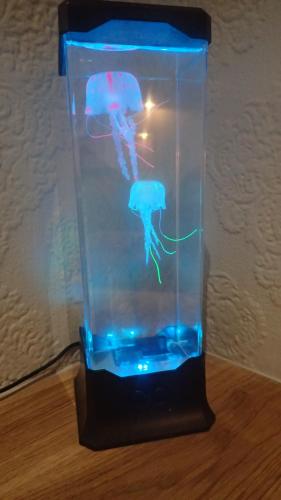 The Victoria guest house