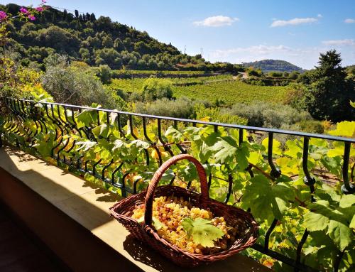 La Tinaia Country House