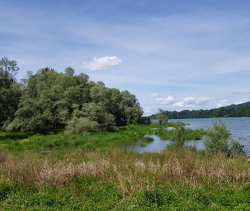 Hôtel Restaurant le Gruyérien