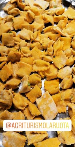 Agriturismo La Ruota