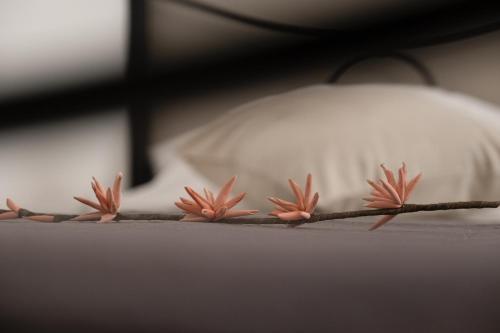 Città Di Castello Rooms