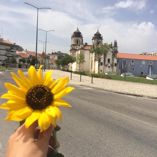 Most Art Boutique Hostel