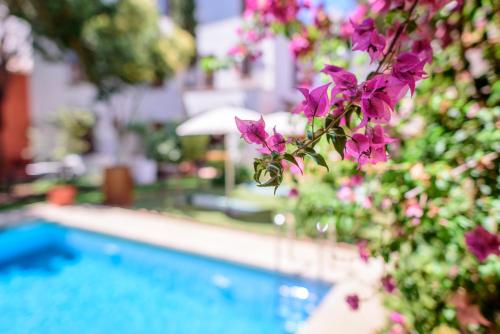 Alojamiento con encanto la Luna en el Alba