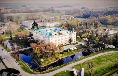 Zamek w Rydzynie