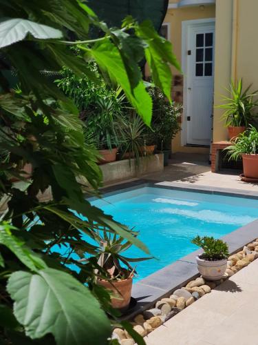 B&B Le Patio En Ville