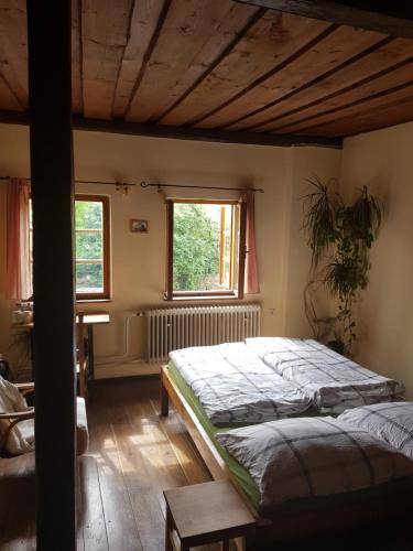 Hostel Skippy
