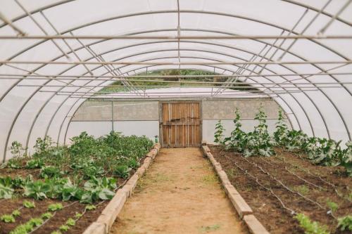 Santa Barbara Eco Beach Resort