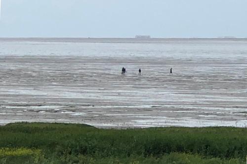 Het Huis Van De Wadden