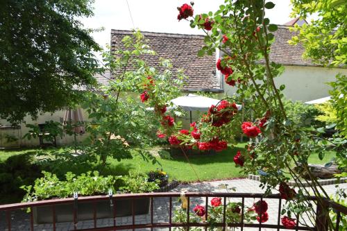 Pension GreenHouse