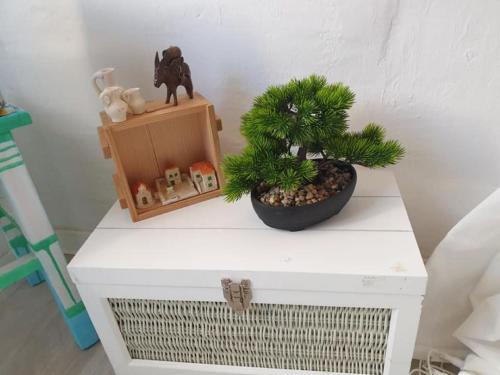 Piranart Guest House