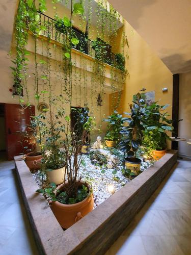 Casona de San Andrés