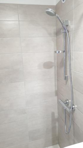 Muziejaus 10 studija