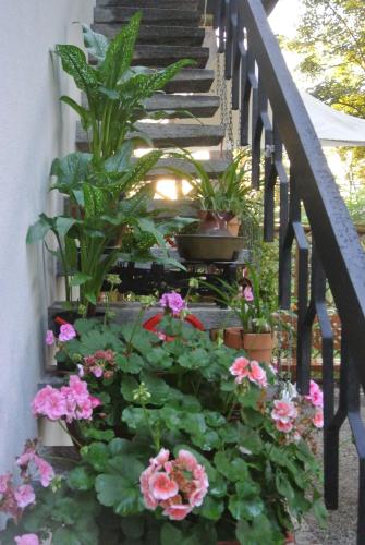 Bed & Breakfast Campagnoli