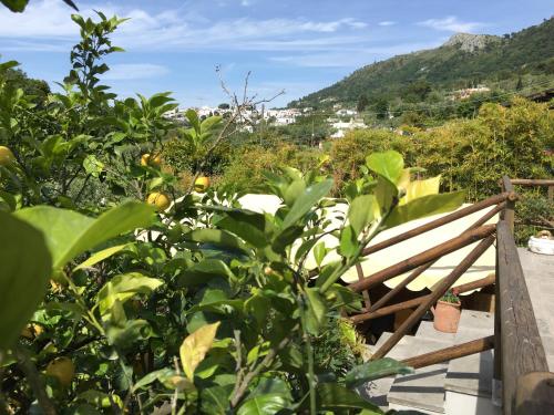 Relais Villa Anna