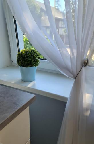 Alejas Lux Apartment