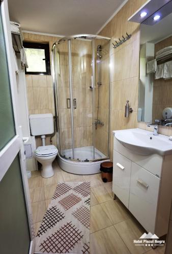 Hotel Piscul Negru