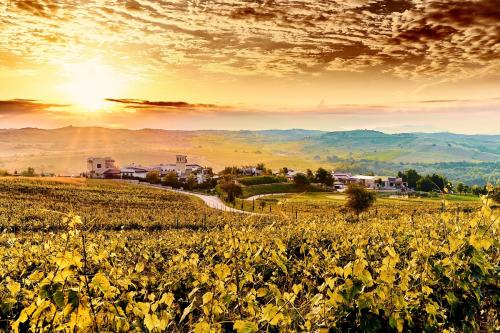 Zornitza Family Estate