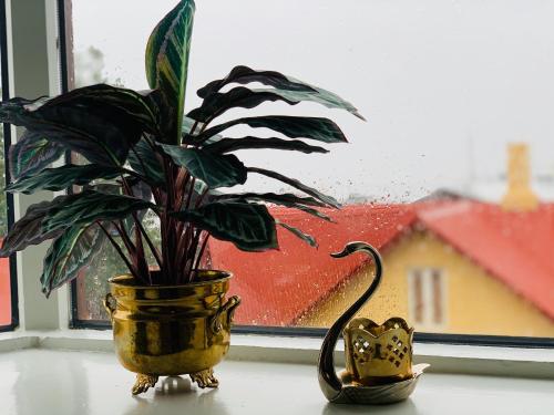 Skólavörðustígur Apartments