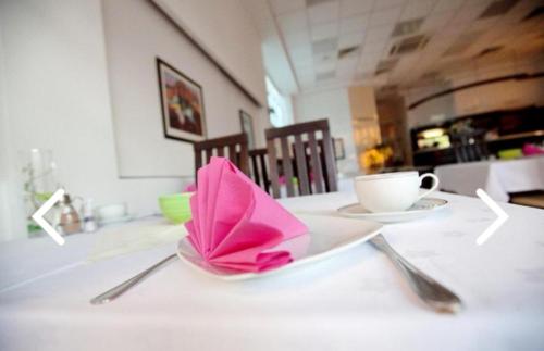 Hotel Drava