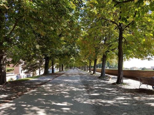 Palazzo della Stufa Apartments For Rent In Lucca